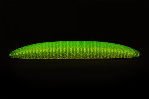 🌟Hot Sale 🌟Worm Big Fidget Toy