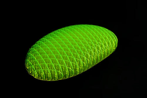 🌟Hot Sale 🌟Worm Big Fidget Toy